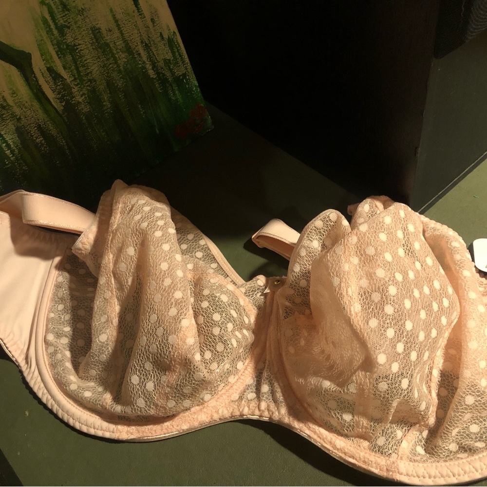 Brand new Freya Bra size US 36K.